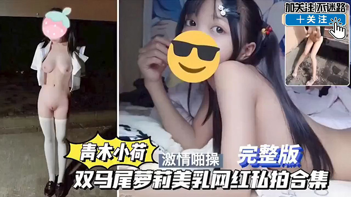 青木小荷双马尾萝莉调教